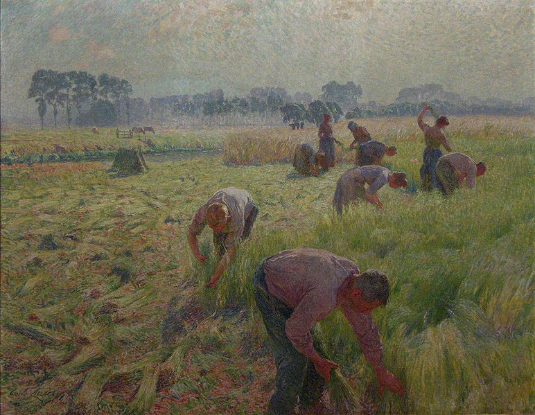 Flax harvesting